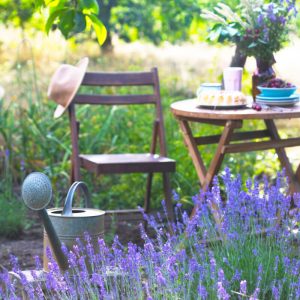 TEND Feedback-to-Growth PREMIUM Toolkit